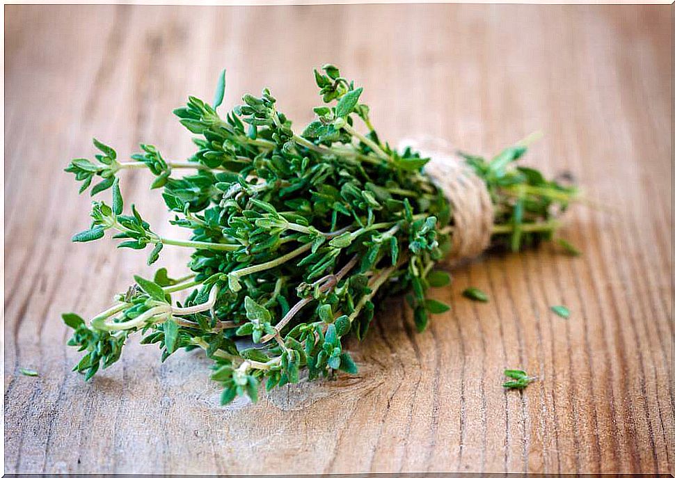 Thyme bouquet.