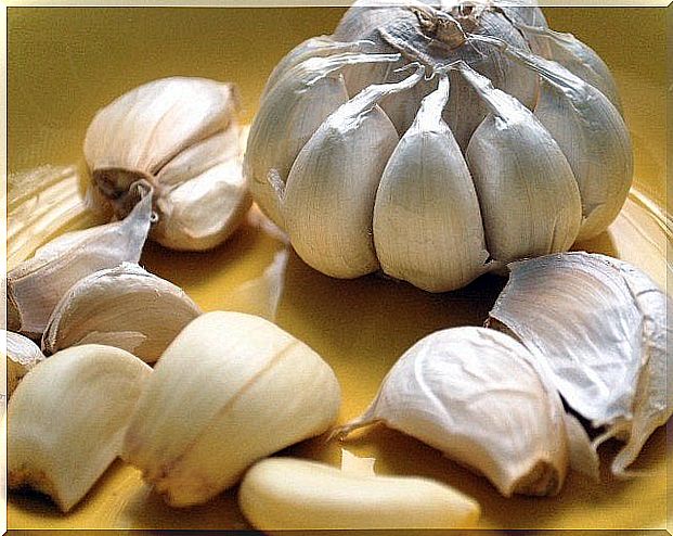 Use garlic to acquire nutrients