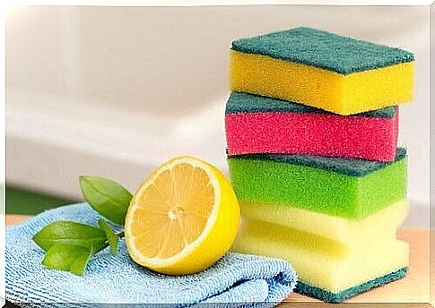 Lemon and scourers