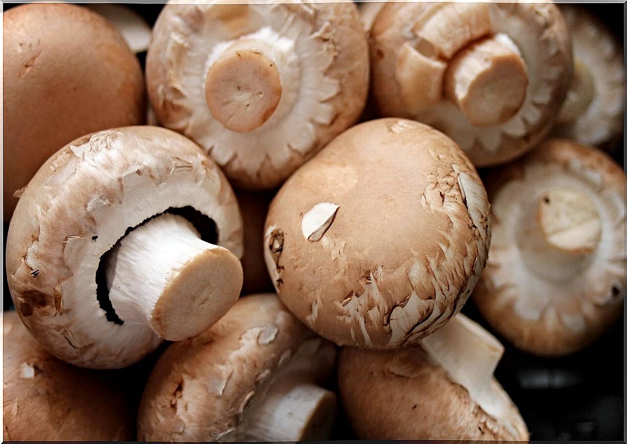 Mushrooms for recipe with chicken and pineapple.