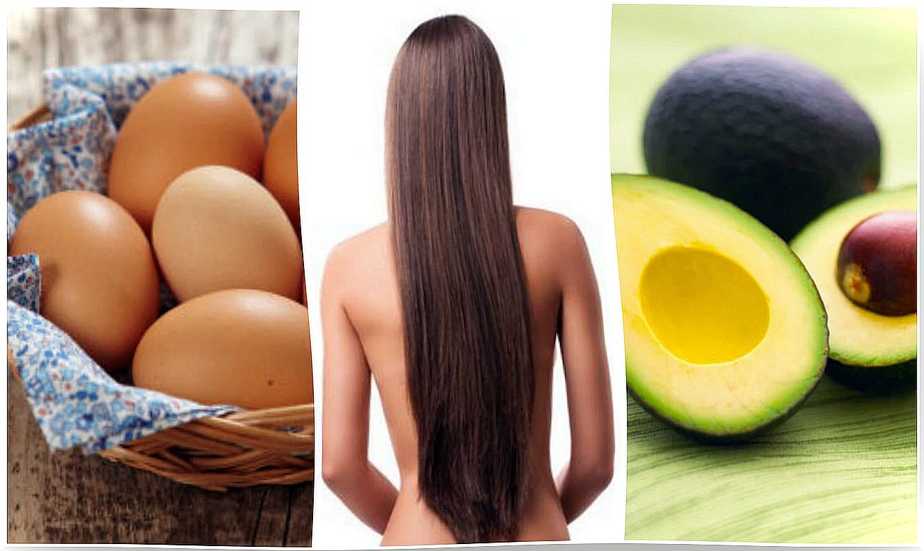 Do you want to accelerate the growth of your hair?  Include these 8 foods in your diet