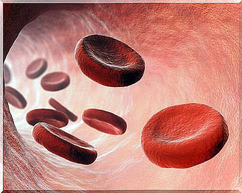 Red blood cells