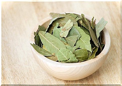 Laurel, one of the best natural anti-inflammatories