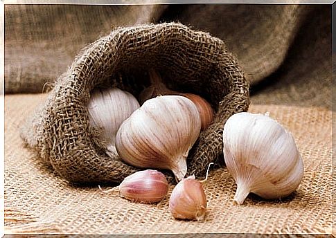 garlic in a sack 