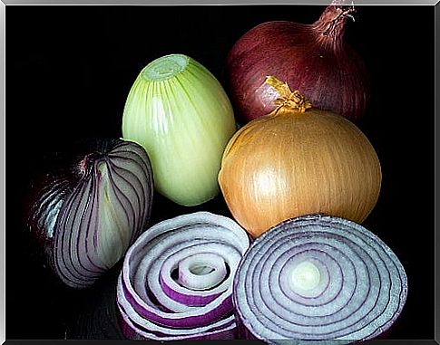 onion