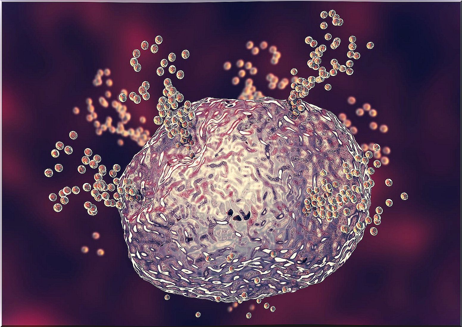 Mast cell releasing histamine in an allergic process.