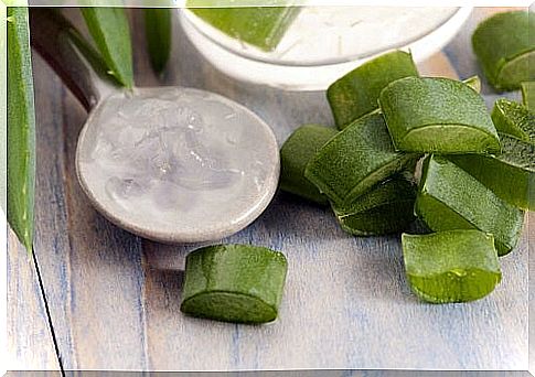 What benefits does aloe vera have for weight loss?