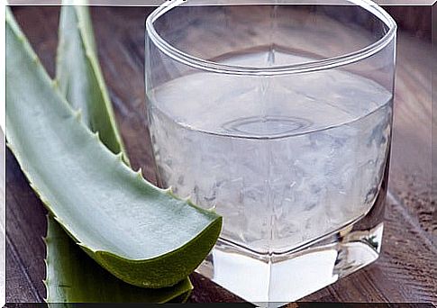 Aloe vera smoothie to lose weight.