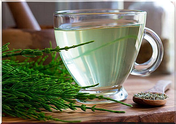 The infusion of horsetail, one of the natural diuretics