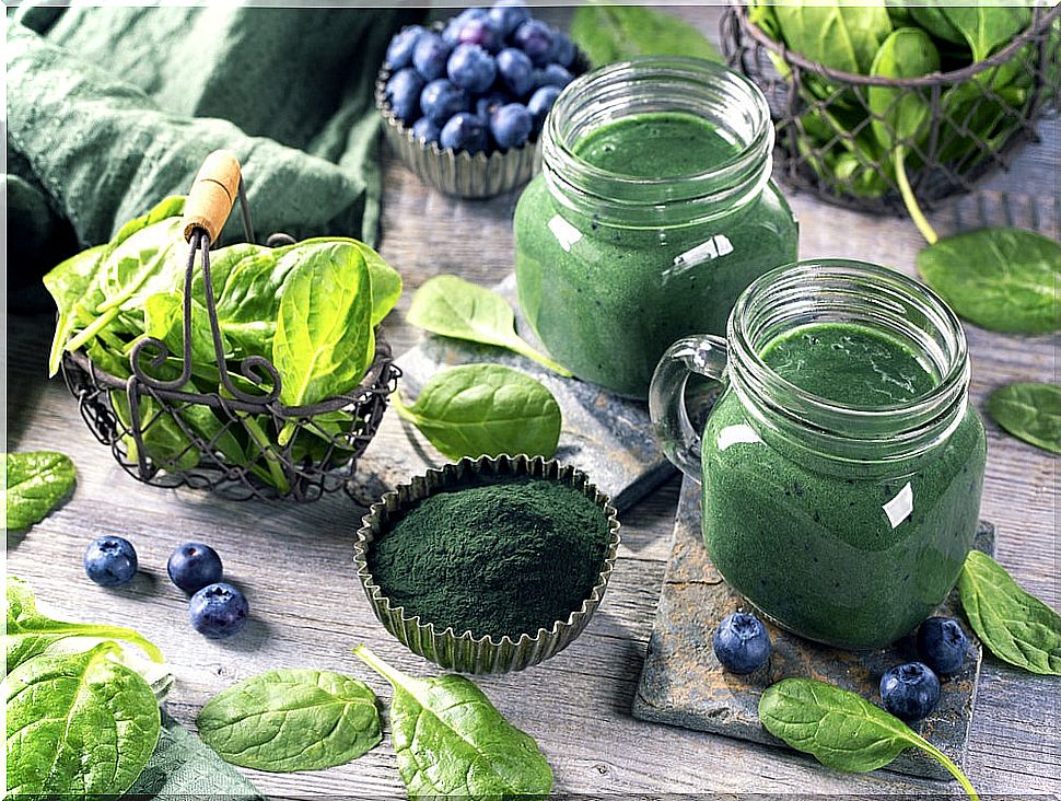 Learn about the incredible benefits of spirulina