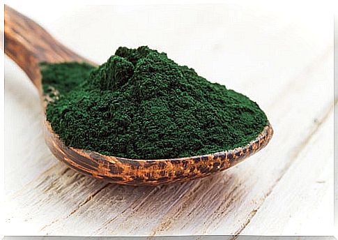 Nutrients-and-properties-of-Spirulina-among-them-the-proteins.