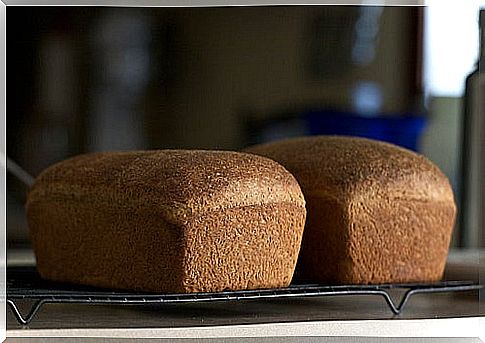 chiot's run whole wheat bread