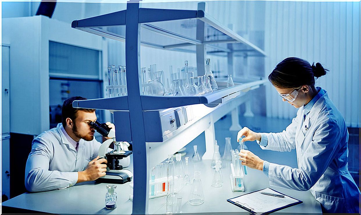 Researchers in a laboratory