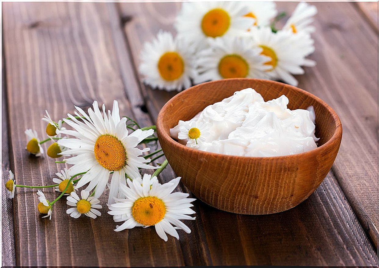 chamomile-yogurt