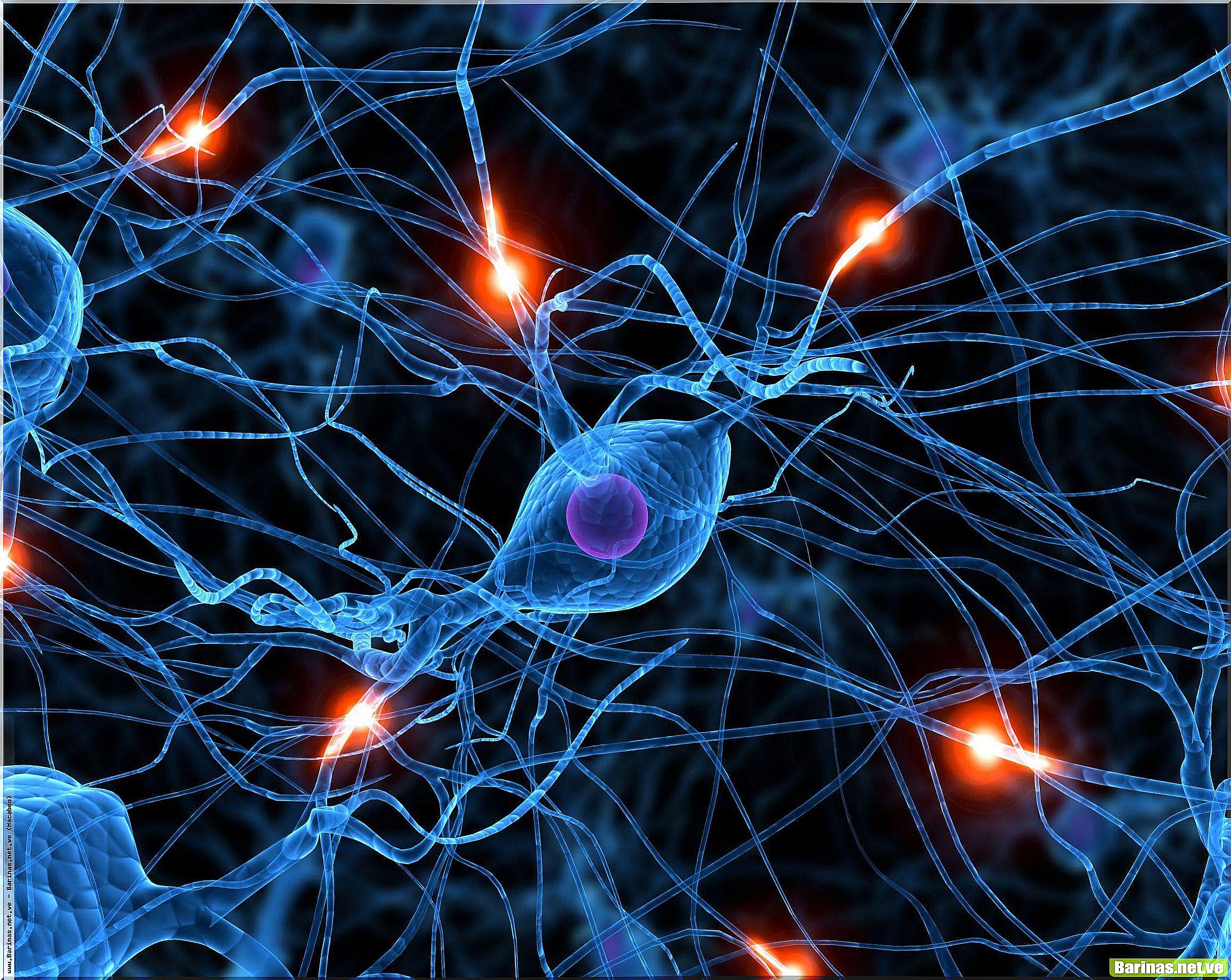 cytokines in cells