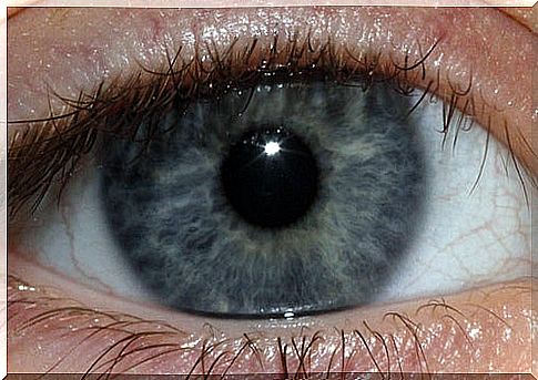 What does the blue eye color tell us?