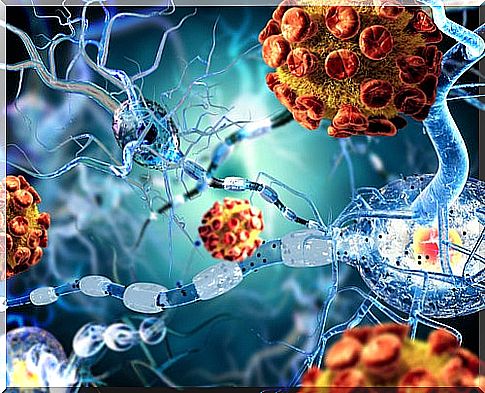 3D image of a virus causing meningitis